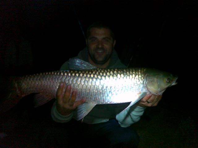 2012 - fundulea 12.6kg